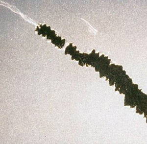 Zayıf Yapışma - Plastik