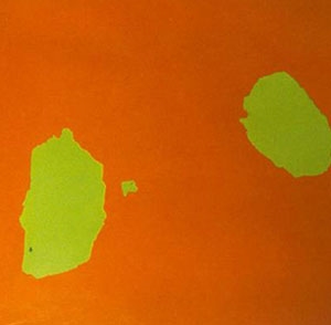 Zayıf Yapışma - Sonkat Boya