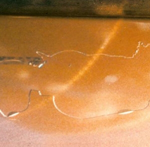 Zayıf Yapışma - Bazkat Vernik